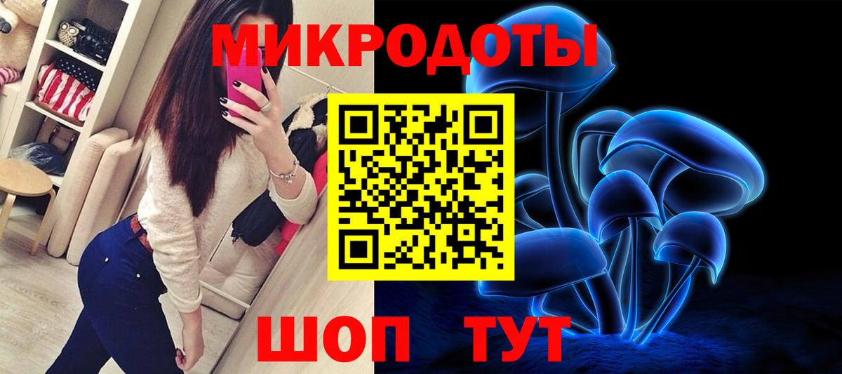 Галлюциногенные грибы Cubensis Мариинск